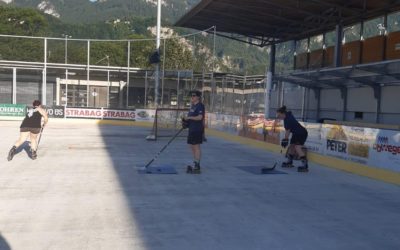 Auch Emser Hockeyladies im Sommertraining